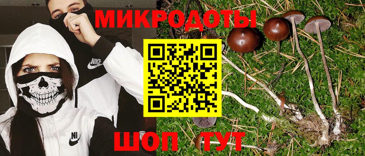 Нижневартовск  Псилоцибиновые грибы прущие грибы  Галлюциногенные грибы мицелий  Вход с VPN 