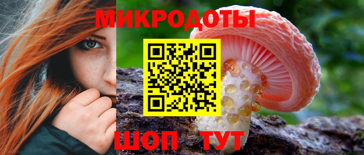 Псилоцибиновые грибы Cubensis Нижневартовск